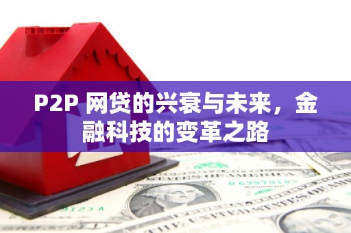 沈河P2P 网贷的兴衰与未来，金融科技的变革之路