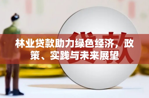 沈河林业贷款助力绿色经济，政策、实践与未来展望
