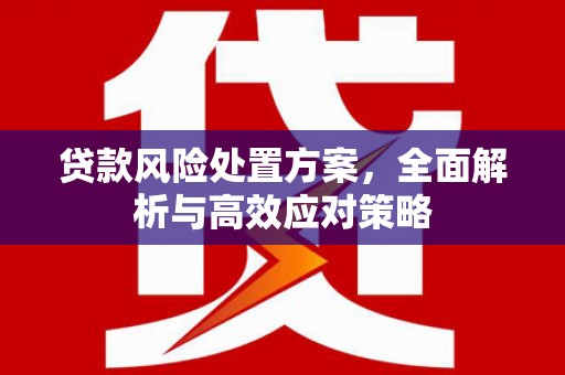 沈河贷款风险处置方案，全面解析与高效应对策略