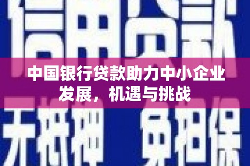 沈河中国银行贷款助力中小企业发展，机遇与挑战
