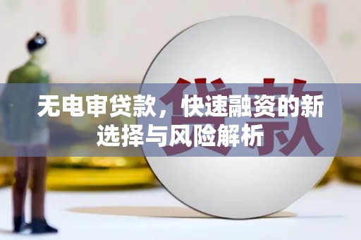 沈河无电审贷款，快速融资的新选择与风险解析