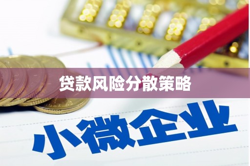 沈河贷款风险分散策略