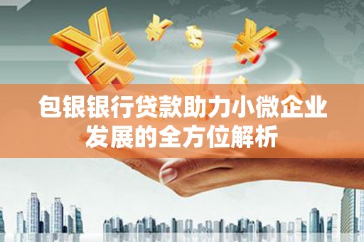 沈河包银银行贷款助力小微企业发展的全方位解析