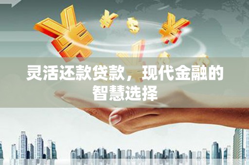 沈河灵活还款贷款，现代金融的智慧选择