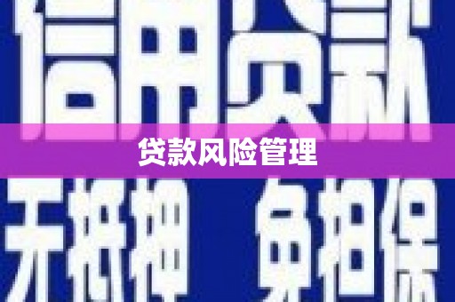 沈河贷款风险管理