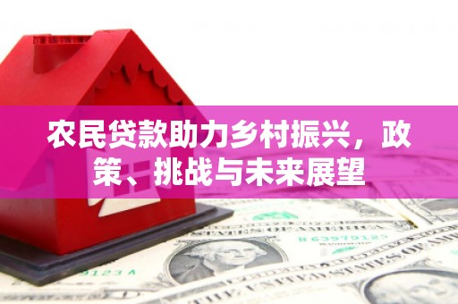 沈河农民贷款助力乡村振兴，政策、挑战与未来展望