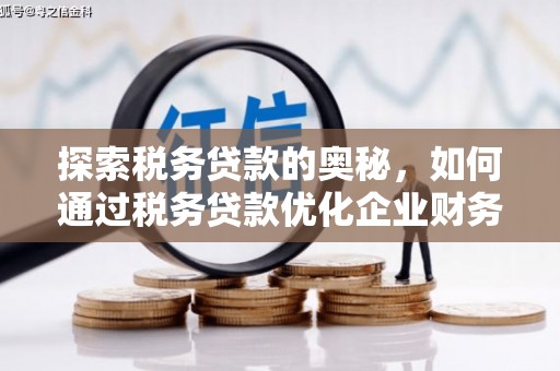 沈河探索税务贷款的奥秘，如何通过税务贷款优化企业财务