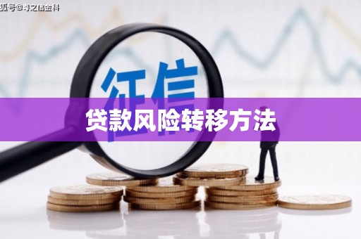 沈河贷款风险转移方法