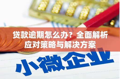 沈河贷款逾期怎么办？全面解析应对策略与解决方案