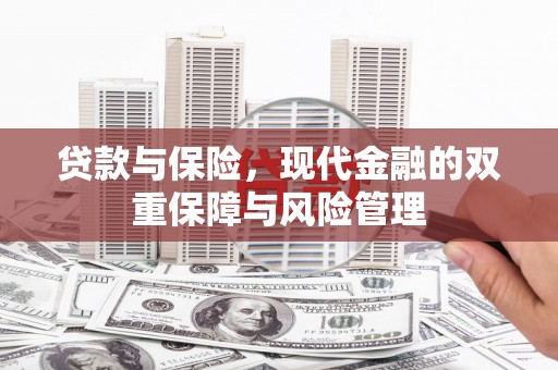 沈河贷款与保险，现代金融的双重保障与风险管理