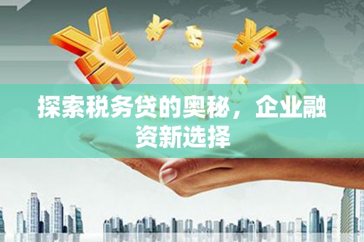 沈河探索税务贷的奥秘，企业融资新选择