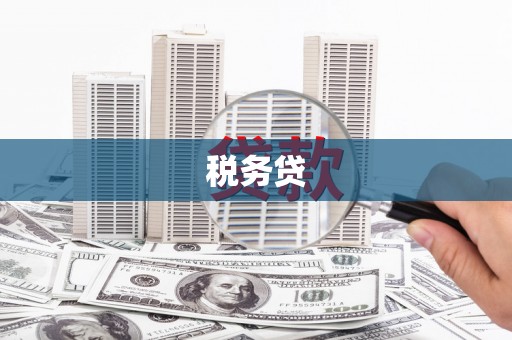 沈河税务贷