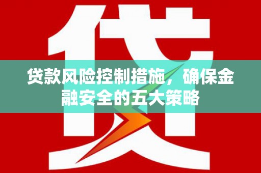 沈河贷款风险控制措施，确保金融安全的五大策略