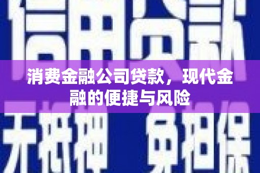沈河消费金融公司贷款，现代金融的便捷与风险