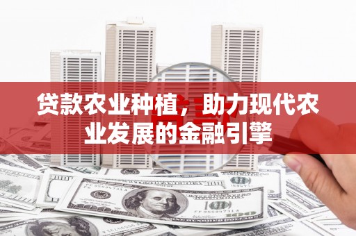 沈河贷款农业种植，助力现代农业发展的金融引擎