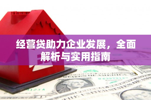 沈河经营贷助力企业发展，全面解析与实用指南