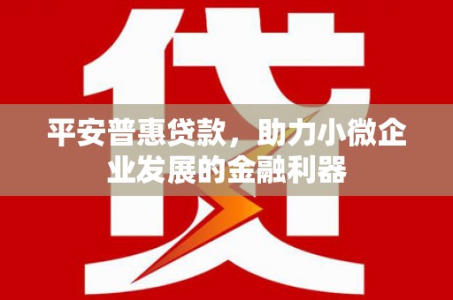 沈河平安普惠贷款，助力小微企业发展的金融利器