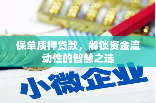 沈河保单质押贷款，解锁资金流动性的智慧之选