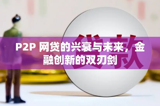 沈河P2P 网贷的兴衰与未来，金融创新的双刃剑