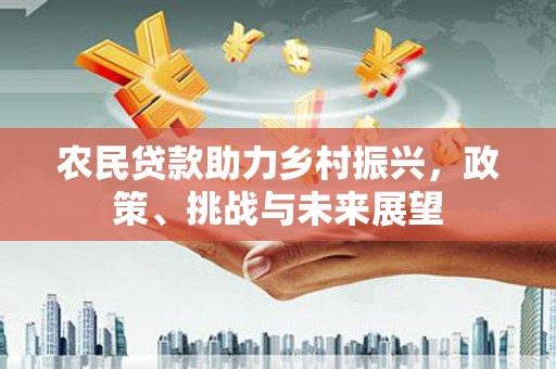 沈河农民贷款助力乡村振兴，政策、挑战与未来展望