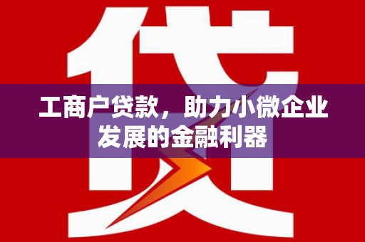 沈河工商户贷款，助力小微企业发展的金融利器