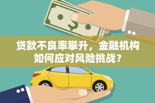 沈河贷款不良率攀升，金融机构如何应对风险挑战？