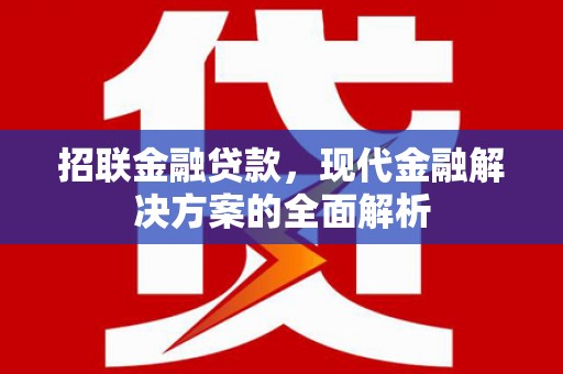 沈河招联金融贷款，现代金融解决方案的全面解析