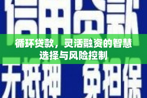 沈河循环贷款，灵活融资的智慧选择与风险控制