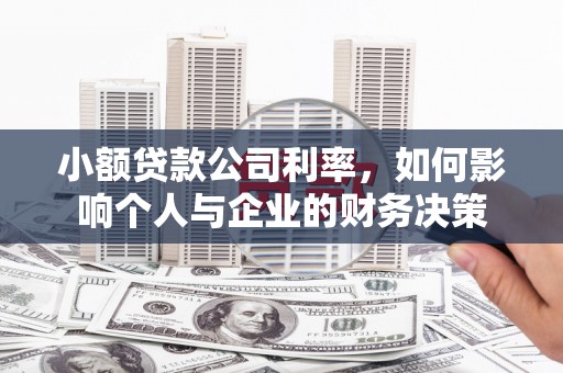 沈河小额贷款公司利率，如何影响个人与企业的财务决策
