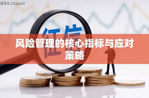 沈河风险管理的核心指标与应对策略