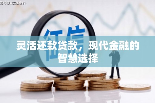 沈河灵活还款贷款，现代金融的智慧选择