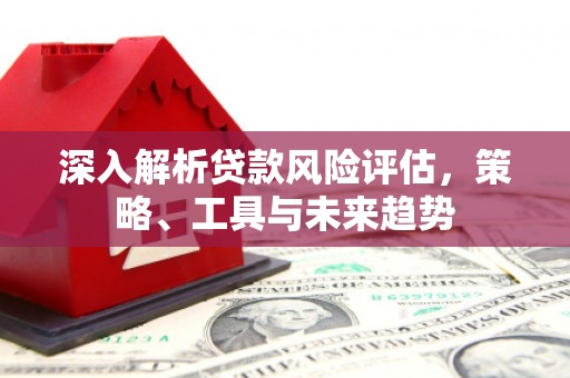 沈河深入解析贷款风险评估，策略、工具与未来趋势