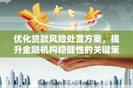 沈河优化贷款风险处置方案，提升金融机构稳健性的关键策略