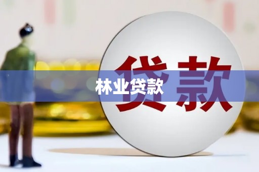 沈河林业贷款