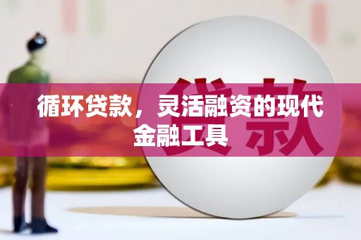 沈河循环贷款，灵活融资的现代金融工具