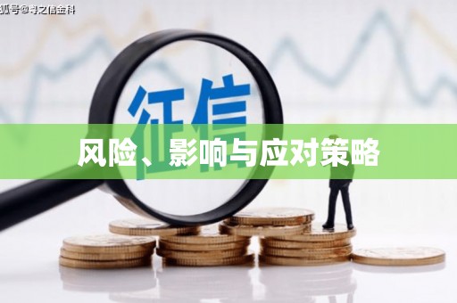 沈河风险、影响与应对策略