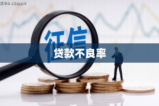 沈河贷款不良率