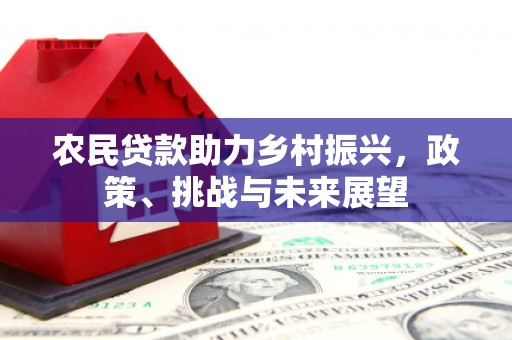 沈河农民贷款助力乡村振兴，政策、挑战与未来展望