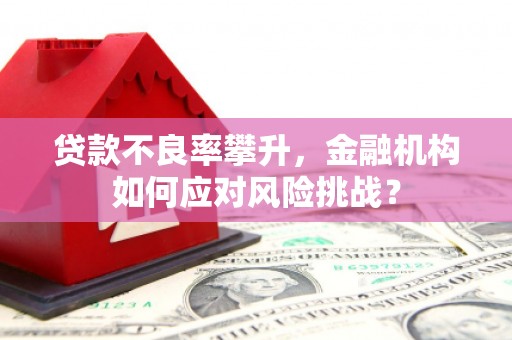 沈河贷款不良率攀升，金融机构如何应对风险挑战？