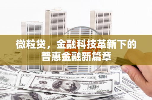 沈河微粒贷，金融科技革新下的普惠金融新篇章