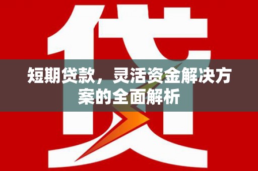 沈河短期贷款，灵活资金解决方案的全面解析