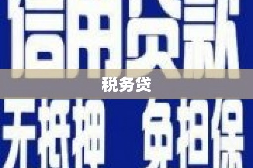 沈河税务贷