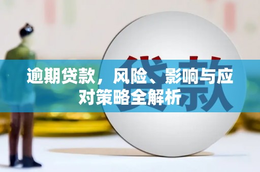沈河逾期贷款，风险、影响与应对策略全解析