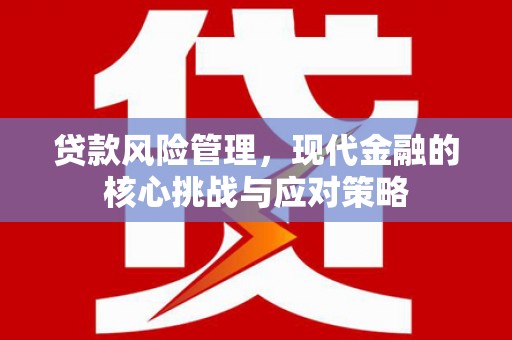 沈河贷款风险管理，现代金融的核心挑战与应对策略