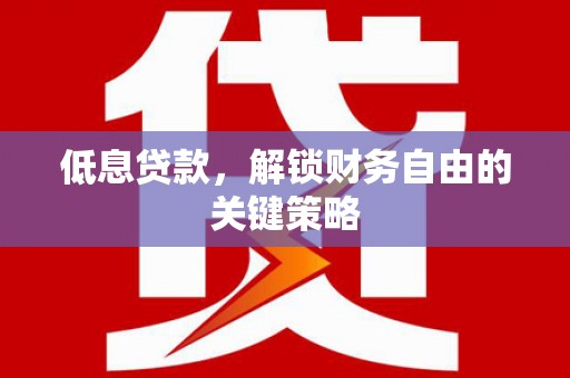 沈河低息贷款，解锁财务自由的关键策略
