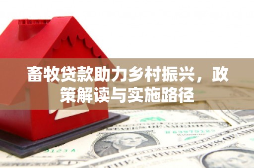 沈河畜牧贷款助力乡村振兴，政策解读与实施路径