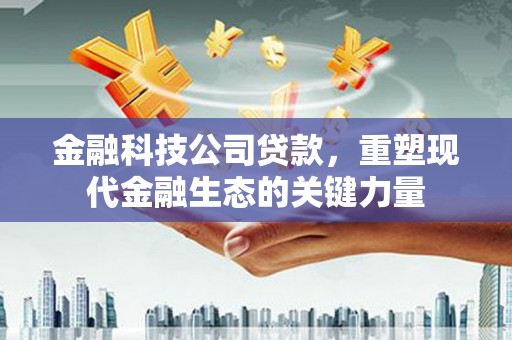 沈河金融科技公司贷款，重塑现代金融生态的关键力量