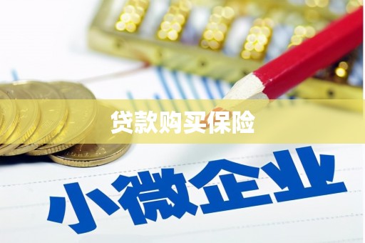 沈河贷款购买保险