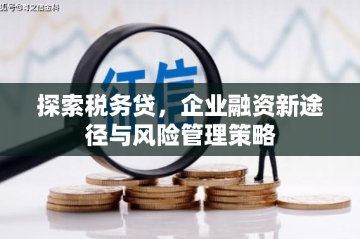 沈河探索税务贷，企业融资新途径与风险管理策略
