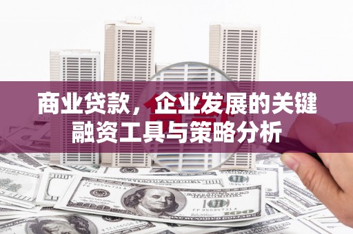 沈河商业贷款，企业发展的关键融资工具与策略分析
